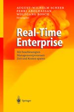 Real-Time Enterprise Cover des Buches Real-Time Enterprise (ISBN: 9783642624742)
