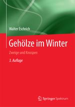 Gehölze im Winter: Zweige und Knospen Cover des Buches Gehölze im Winter: Zweige und Knospen (ISBN: 9783662486894)