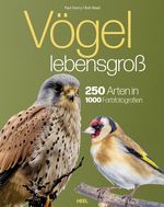 Vögel lebensgroß Cover des Buches Vögel lebensgroß (ISBN: 9783690190084)