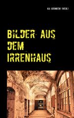 Bilder aus dem Irrenhaus Cover des Buches Bilder aus dem Irrenhaus (ISBN: 9783732282418)