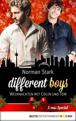 different boys - Weihnachten mit Colin und Tom Cover des Buches different boys - Weihnachten mit Colin und Tom (ISBN: 9783732515974)