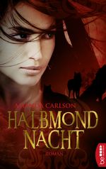Halbmondnacht Cover des Buches Halbmondnacht (ISBN: 9783732589098)