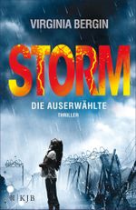 Storm – Die Auserwählte (Rain 2) Cover des Buches Storm – Die Auserwählte (Rain 2) (ISBN: 9783733601058)