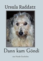 Dann kam Göndi Cover des Buches Dann kam Göndi (ISBN: 9783734754746)