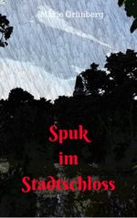Spuk im Stadtschloss Cover des Buches Spuk im Stadtschloss (ISBN: 9783738068634)