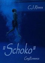 Schoko: Gay Romance Cover des Buches Schoko: Gay Romance (ISBN: 9783739609867)