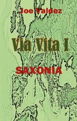 Via Vita I Cover des Buches Via Vita I (ISBN: 9783740731519)