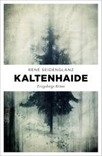 Kaltenhaide Cover des Buches Kaltenhaide (ISBN: 9783740813376)