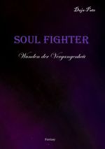 Soul Fighter Cover des Buches Soul Fighter (ISBN: 9783741263606)