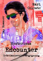 Mysterious Encounter Cover des Buches Mysterious Encounter (ISBN: 9783741297106)