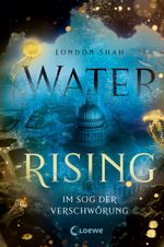 Water Rising - Im Sog der Verschwörung Cover des Buches Water Rising - Im Sog der Verschwörung (ISBN: 9783743209640)