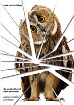 Die Weisheit kennt viele Wahrheiten Cover des Buches Die Weisheit kennt viele Wahrheiten (ISBN: 9783744809597)