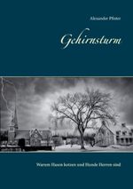 Gehirnsturm Cover des Buches Gehirnsturm (ISBN: 9783744810029)