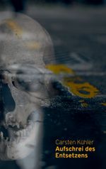 Aufschrei des Entsetzens Cover des Buches Aufschrei des Entsetzens (ISBN: 9783744814836)