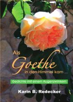 Als Goethe in den Himmel kam ... Cover des Buches Als Goethe in den Himmel kam ... (ISBN: 9783746747231)