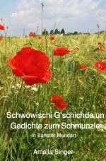 Schwowischi G'schichde un Gedichte zum Schmunzle Cover des Buches Schwowischi G'schichde un Gedichte zum Schmunzle (ISBN: 9783748532293)