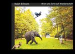 Milan und Jorin auf Wanderschaft Cover des Buches Milan und Jorin auf Wanderschaft (ISBN: 9783749499427)