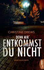 Denn mir entkommst du nicht Cover des Buches Denn mir entkommst du nicht (ISBN: 9783751708937)