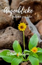 Augenblicke Cover des Buches Augenblicke (ISBN: 9783752954555)