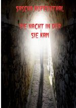 Die Nacht in der Sie kam Cover des Buches Die Nacht in der Sie kam (ISBN: 9783753158402)