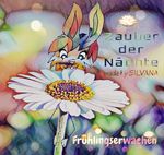 Zauber der Nächte Cover des Buches Zauber der Nächte (ISBN: 9783753174730)