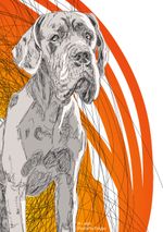 Deutsche Dogge Cover des Buches Deutsche Dogge (ISBN: 9783753482088)