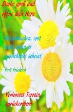 Denke groß und öffne dein Herz Weitermachen, erst recht wenn es aussichtslos scheint Cover des Buches Denke groß und öffne dein Herz Weitermachen, erst recht wenn es aussichtslos scheint (ISBN: 9783754101674)