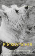 Rückbatscher Cover des Buches Rückbatscher (ISBN: 9783754300404)