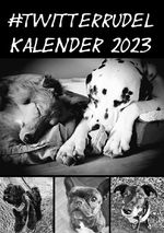 Kalender 2023 A5 Softcover Cover des Buches Kalender 2023 A5 Softcover (ISBN: 9783754953044)