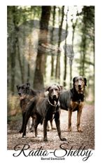 Radio-Shelby Cover des Buches Radio-Shelby (ISBN: 9783755748724)