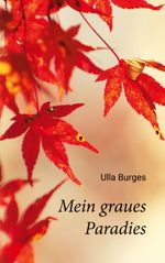 Mein graues Paradies Cover des Buches Mein graues Paradies (ISBN: 9783755769507)