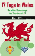 17 Tage in Wales Cover des Buches 17 Tage in Wales (ISBN: 9783756862856)