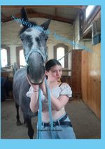 Saphira und die Lipizzanerstute Cover des Buches Saphira und die Lipizzanerstute (ISBN: 9783757812768)