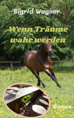 Wenn Träume wahr werden Cover des Buches Wenn Träume wahr werden (ISBN: 9783757828844)