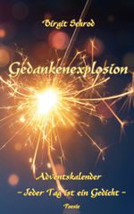Gedankenexplosion Cover des Buches Gedankenexplosion (ISBN: 9783757881290)