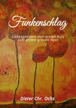 Funkenschlag Cover des Buches Funkenschlag (ISBN: 9783757881986)