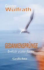 Gedankensprünge Cover des Buches Gedankensprünge (ISBN: 9783758313202)