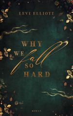 Why we fall so hard Cover des Buches Why we fall so hard (ISBN: 9783758331657)