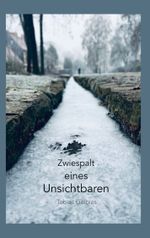Zwiespalt eines Unsichtbaren Cover des Buches Zwiespalt eines Unsichtbaren (ISBN: 9783758364761)