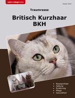 Traumrasse Britisch Kurzhaar Cover des Buches Traumrasse Britisch Kurzhaar (ISBN: 9783758366123)
