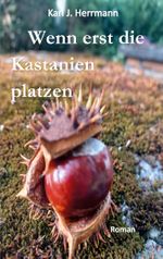 Wenn erst die Kastanien platzen Cover des Buches Wenn erst die Kastanien platzen (ISBN: 9783758387579)