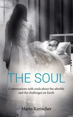 The Soul Cover des Buches The Soul (ISBN: 9783758396274)