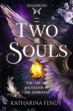 Seelenbund - Trilogie / Two Souls: You are my salvation in the darkness ( Seelenbund-Trilogie Band 1 ) Cover des Buches Seelenbund - Trilogie / Two Souls: You are my salvation in the darkness ( Seelenbund-Trilogie Band 1 ) (ISBN: 9783758404450)