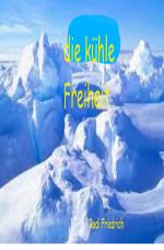 Die kühle Freiheit - Was erwartet dich morgen Cover des Buches Die kühle Freiheit - Was erwartet dich morgen (ISBN: 9783758467219)