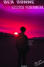Der Sonne letztes Feuerwerk Cover des Buches Der Sonne letztes Feuerwerk (ISBN: 9783758473258)