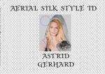 Aerial Silk Style ID Cover des Buches Aerial Silk Style ID (ISBN: 9783758485558)