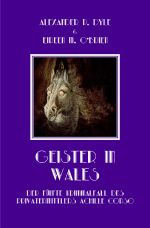 Ein Kriminalfall des Privatermittlers Achille Corso / Geister in Wales Cover des Buches Ein Kriminalfall des Privatermittlers Achille Corso / Geister in Wales (ISBN: 9783758496493)
