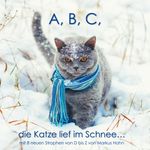 A, B, C, die Katze lief im Schnee Cover des Buches A, B, C, die Katze lief im Schnee (ISBN: 9783759722553)