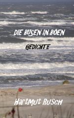 Die Busen in Böen Cover des Buches Die Busen in Böen (ISBN: 9783759751355)