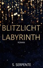 Blitzlichtlabyrinth Cover des Buches Blitzlichtlabyrinth (ISBN: 9783759784698)